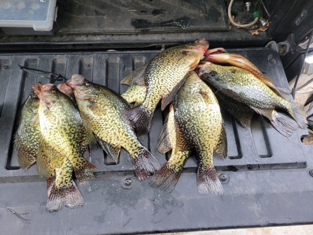 Spring Crappie Fishing: Pre-Spawn to Spawn Patterns, Best Baits, and Proven Tactics